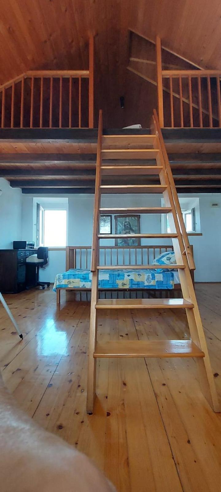 Torriano Holiday House Šibenik Extérieur photo